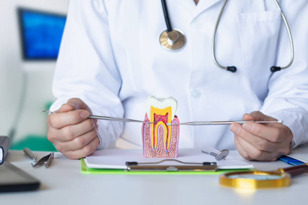Best Emergency Denture Repair in Vernonia, OR